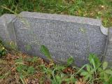 image of grave number 147354